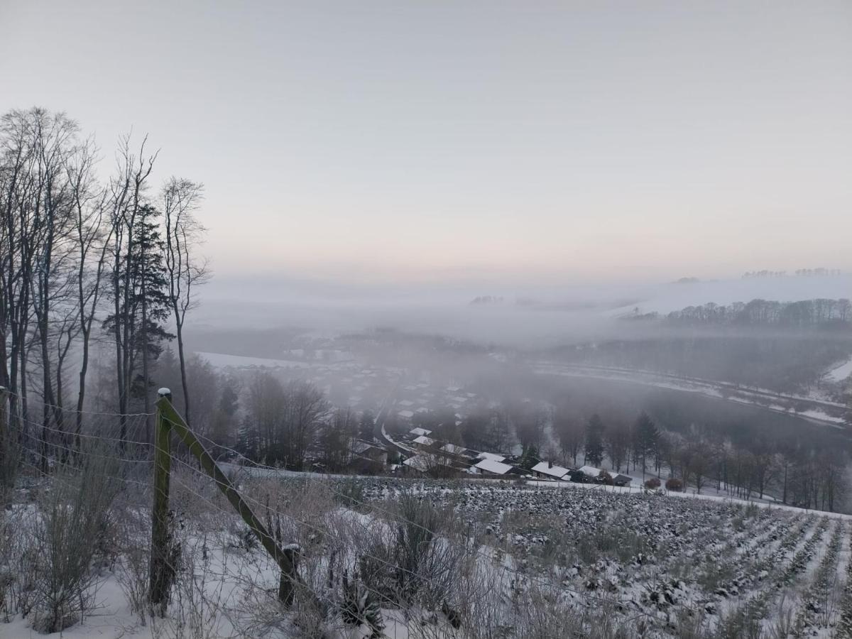 Ferienhaus Lena Im Sauerland Direkt Am Hennesee Meschede Exterior foto
